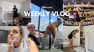 weekly vlog | skincare | new training | 10km run | walking pad | a puppy? unboxing | conagh kathleen