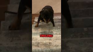 Her Airbnb Is Extremely Haunted... #scary #paranormal