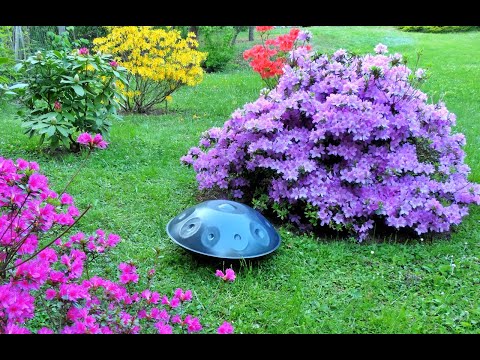 Varju Sandor Handpan - Azalea mood   ( Song: Triangle composed by Andrea Szabadi )