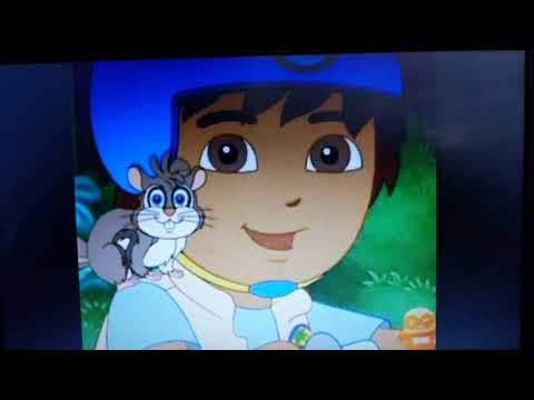 Diego Needs To Go Rough Water Fall