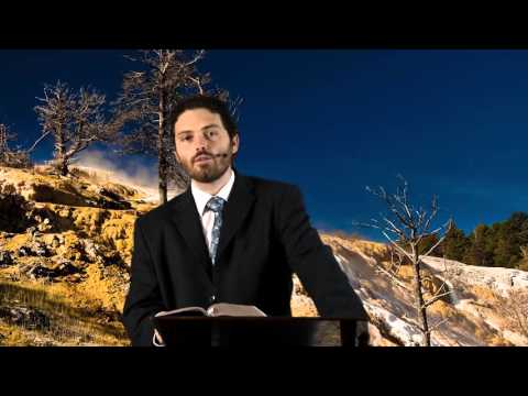 The Patience of the Saints - Paul Godfrey