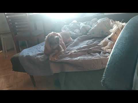 No, pogadaj ze mną!