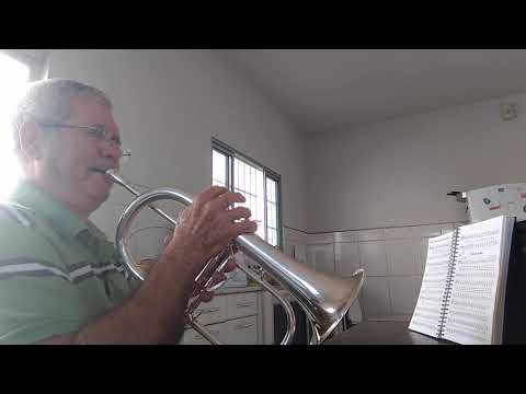 Hino 201 - Flugelhorn