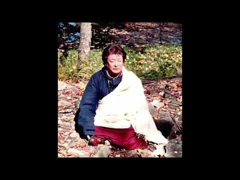 Thinley Norbu Rinpoche - This Meeting As In a Dream