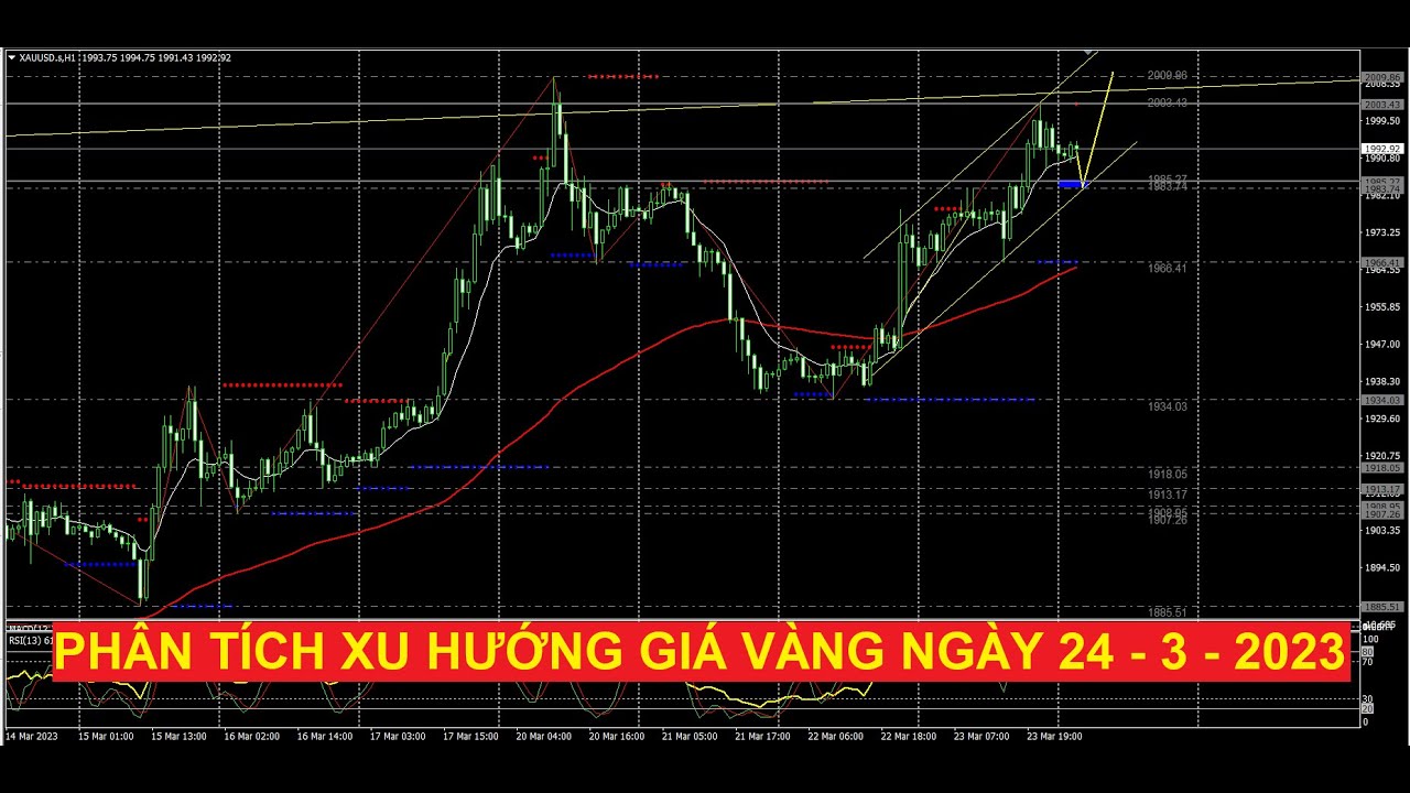Video phân tích xu hướng giá vàng ngày 24 - 3 - 2023