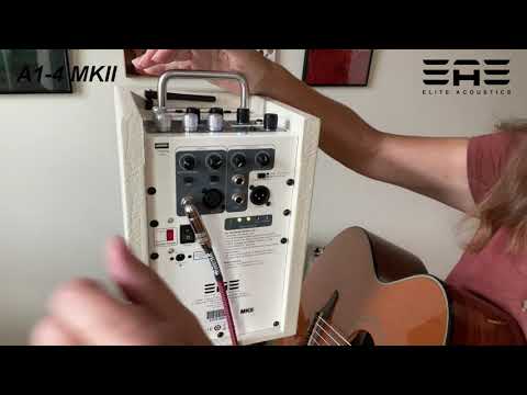 Elite Acoustics A1-4 MKII (CREAM) - 40 Watts Mini PA  with Bluetooth/LFP Battery image 9