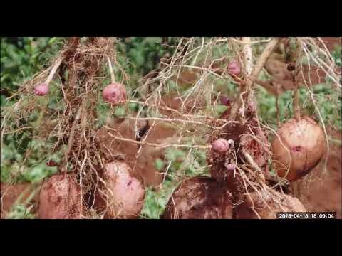 2018 04 18 PM Public Teaching in Romanian - Cursuri publice în română