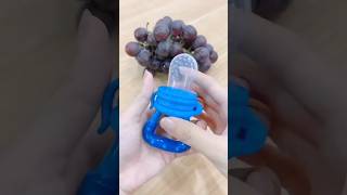 Baby food and fruits feeder nibbler #babyfeed #babyfeeder #babyfeedingtips  @Babycare07