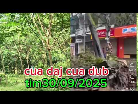 Cua daj cua dub 30/09 /2025