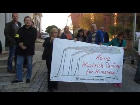 Demo 23. April 2013 in Wimsheim