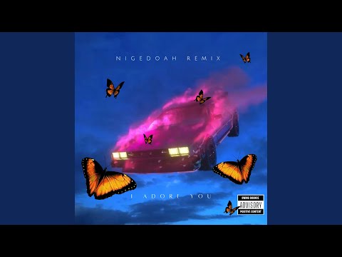 I Adore You (Nigedoah ReMix'Z)