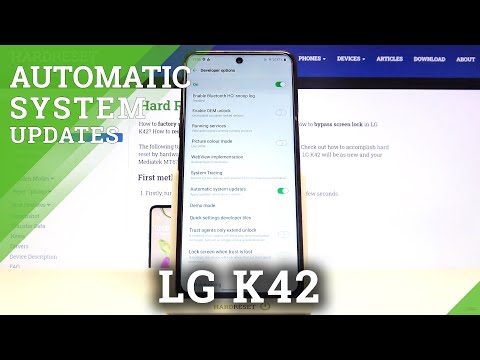 LG K42 and Updates - Enable Automatic System Updates