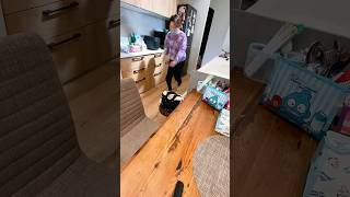 【大家族】捕まらない猫 vs 本気の母🤣…  #shorts  #cat #元野良猫