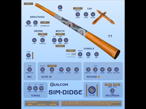 Download Free Didgeridoo plugin SIM DIDGE by Quilcom