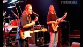 Walter Trout Band (Live at Paradiso): The love we once knew