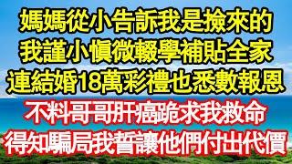 媽媽從小告訴我是撿來的，我謹小慎微輟學補貼全家，連結婚18萬彩禮也悉數報恩，不料哥哥肝癌跪求我救命，得知騙局我誓讓他們付出代價 真情故事會|老年故事|情感需求|養老|家庭