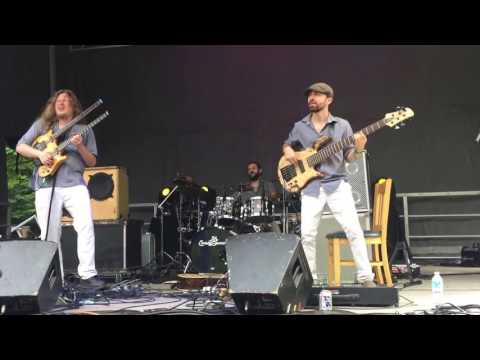 consider the source :: buffalove 2016