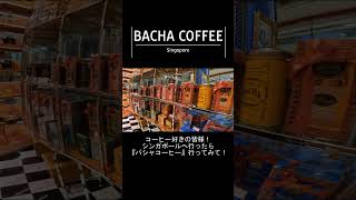 バシャコーヒー(BACHA COFFEE)でコーヒー休憩♪素敵な空間! #シンガポール #travel #bachacoffee #コーヒー #coffee #singapore #シンガポール旅行