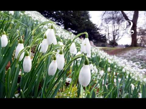 Astrolog Radmila - Nedeljni horoskop od 9.3. do 15.3.