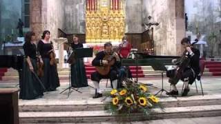 Zarko Ignjatovic plays Vivaldi's Lute Concerto in D-major, 2nd movement: Largo