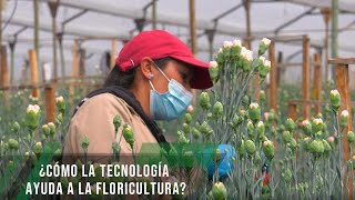 Cómo la tecnología ayuda a la floricultura - TvAgro por Juan Gonzalo Angel Restrepo
