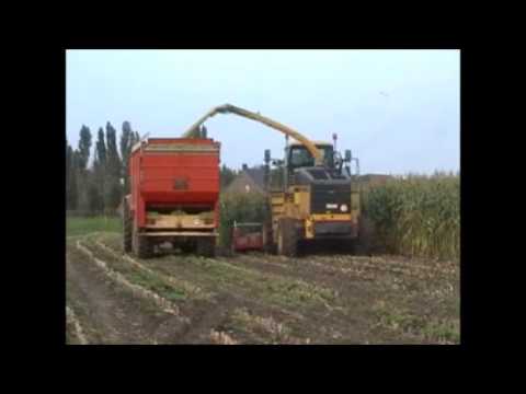 Demarez-Marreel: Mais hakselen.