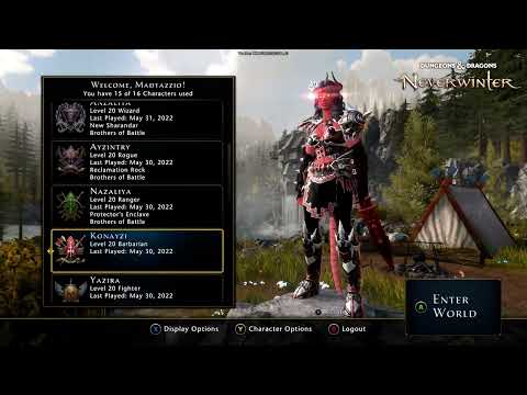 My Neverwinter Characters