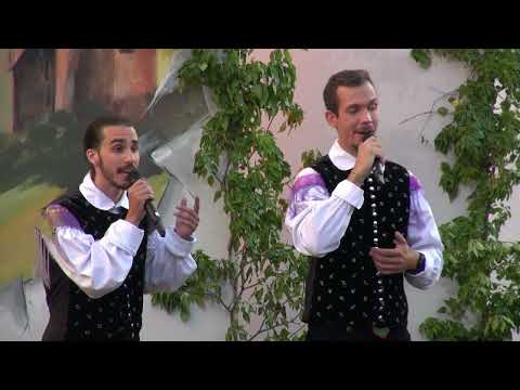 Ansambel Poziv - Šepni mi da (v živo)