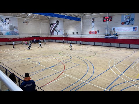 Final 4 ALEVÍN CP ALCOBENDAS vs VIRGEN DE EUROPA