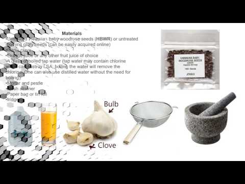 Simple Nausea Free LSA extraction