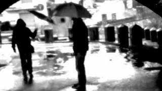 Mosquitos - Summer of the bees