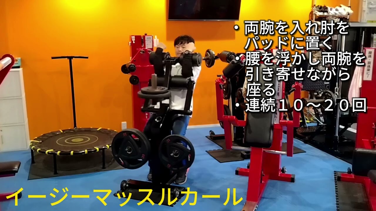 イージーマッスルカール