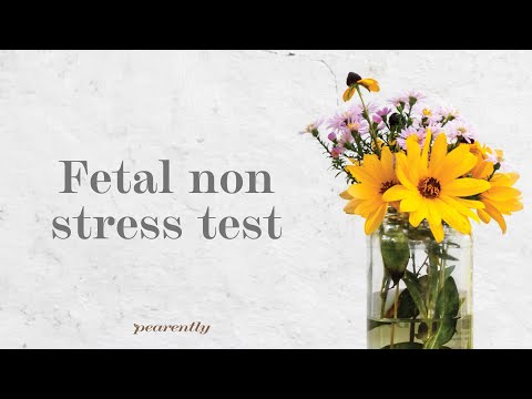 All about the Fetal Non Stress Test - FNST