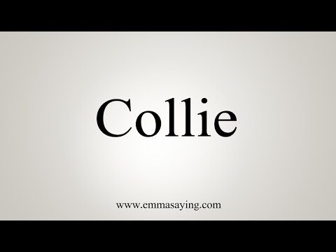 Part of a video titled How To Say Collie - YouTube