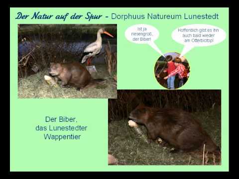 Der Natur auf der Spur