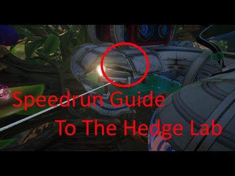 Ultimate Guide to Completing the Hedge Lab Grounded