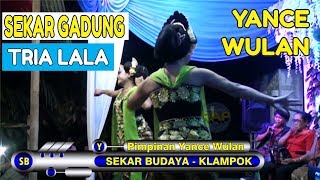 Download lagu RICIK RICIK - SEKAR GADUNG | SEKAR BUDAYA | ORLENG YANCE KLAMPOK mp3