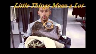 Little Things Mean A Lot   A Karaoke Video