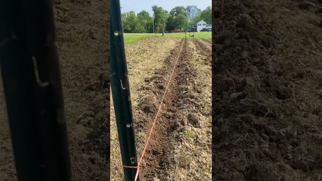 Easy way to make a straight line for your garden! #gardening #gardentips #homesteadinglife