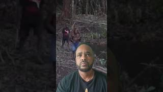 Download lagu Song Of Mamuna Soul Healing Sounds mp3