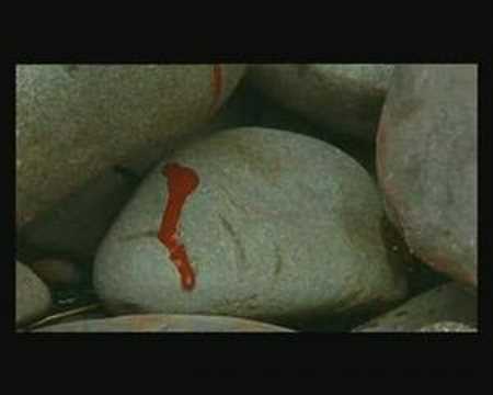 River and Tides (extraits 2)