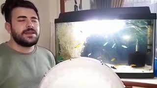 Kerbela Alii Alii Alii // Ağlatan Ağıt & Muhammed Ahmet Fescioğlu