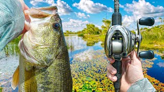 My BEST Spring River Fishing Bite EVER (Nonstop Action)