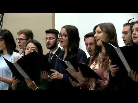 Ca un izvor - Grup Amicus