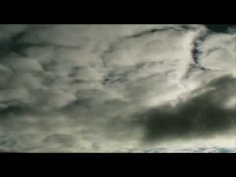 Seti Alpha 5 - Treeship