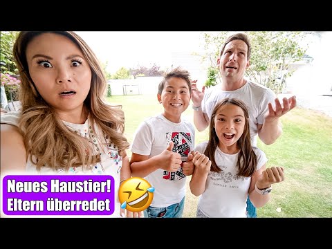 New pet brought home 😳 @Clarielle persuades us! Shopping & furnishing! Mommy souls