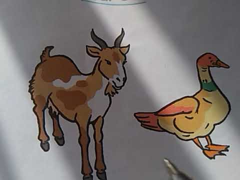 #décrire#un#animal#وصف#حيوان#decrire un animalوصف حيوان