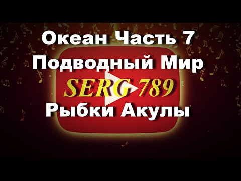 🔴Океан Подводный Мир Рыбки Акулы(Часть 7)✅👍