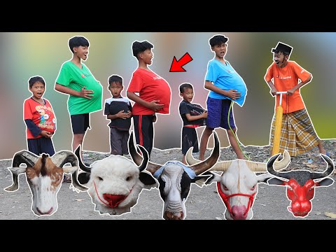 AS A RESULT OF EATING YUPI CANDY, HER BELLY ENLARGED, PREGNANT WITH A BANTENGAN MBEROT