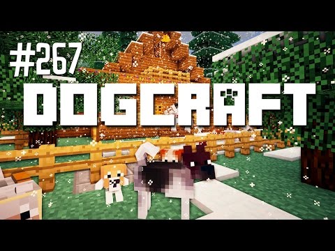 Akita My Heart | Dogcraft (Ep.267)